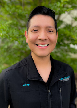 pedro